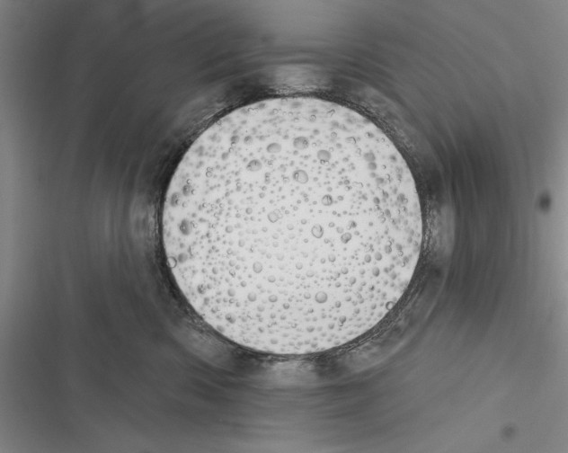 X0000116380426201001131812