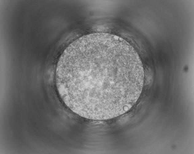 X0000116380427201001131812