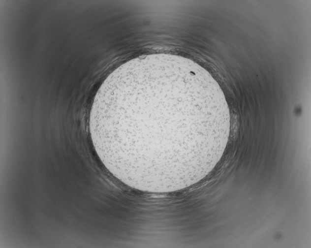 X0000116380428201001131812