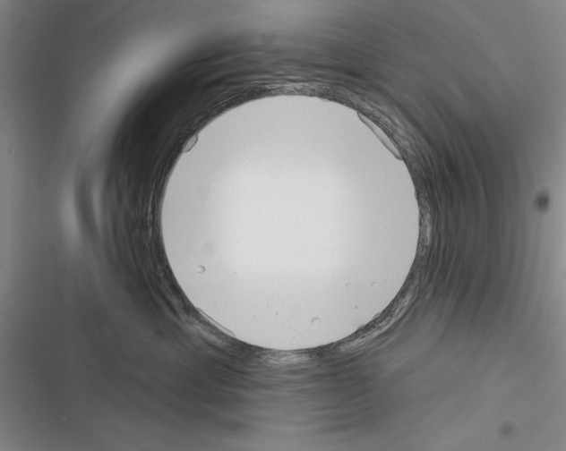 X0000116380429201001131812