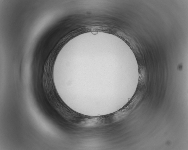 X0000116380430201001131812