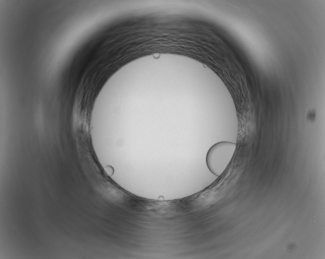 X0000116380431201001131812