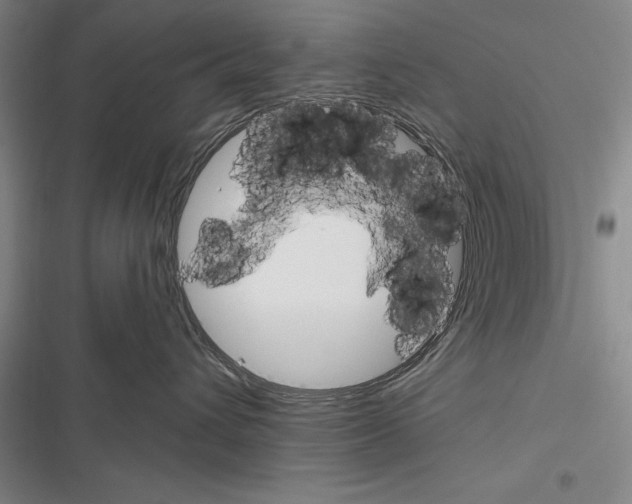 X0000116380432201001131812