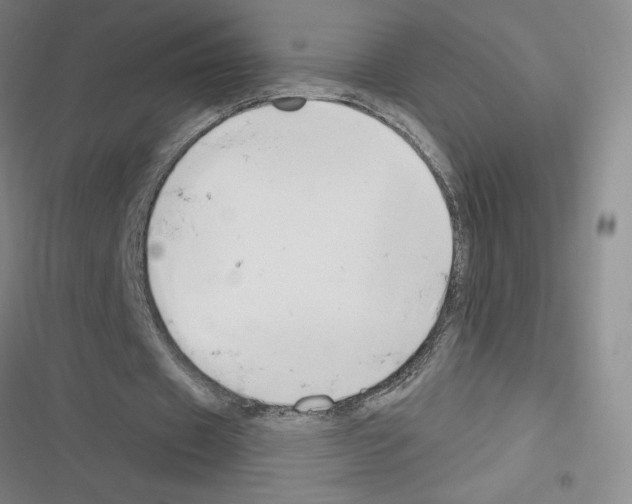 X0000116380433201001131811