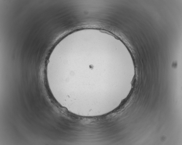 X0000116380434201001131812