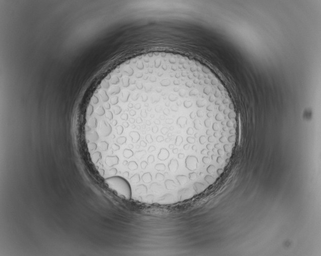 X0000116380435201001131812