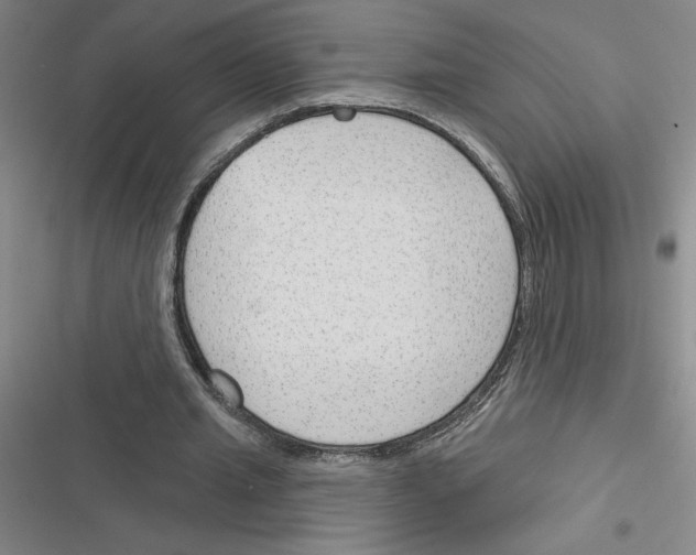 X0000116380437201001131812