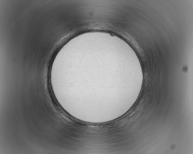 X0000116380442201001131812