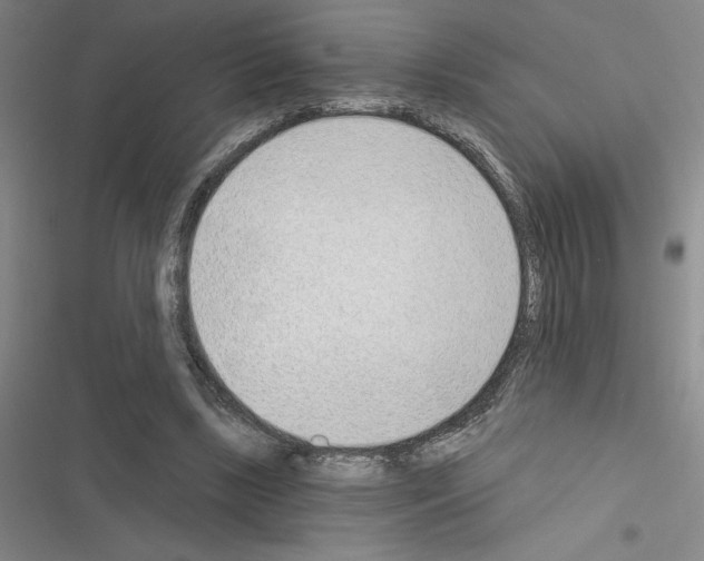 X0000116380443201001131812