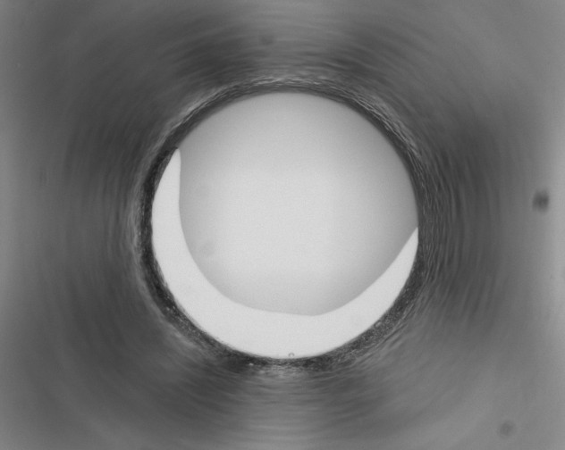 X0000116380444201001131812