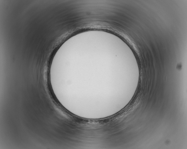 X0000116380445201001131812