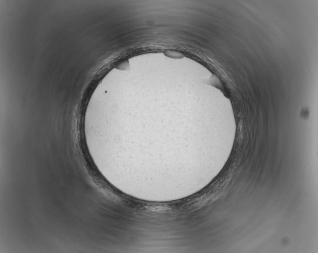 X0000116380446201001131812