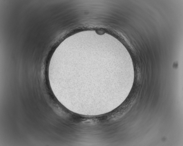 X0000116380447201001131812