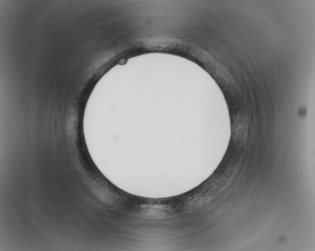 X0000116380448201001131812