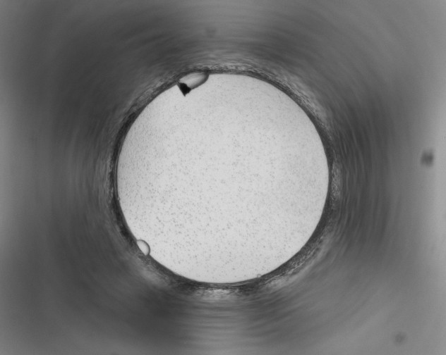 X0000116380449201001131812