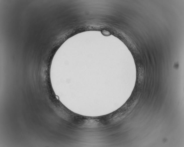X0000116380451201001131812