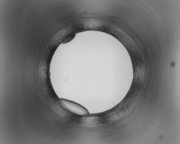 X0000116380452201001131812