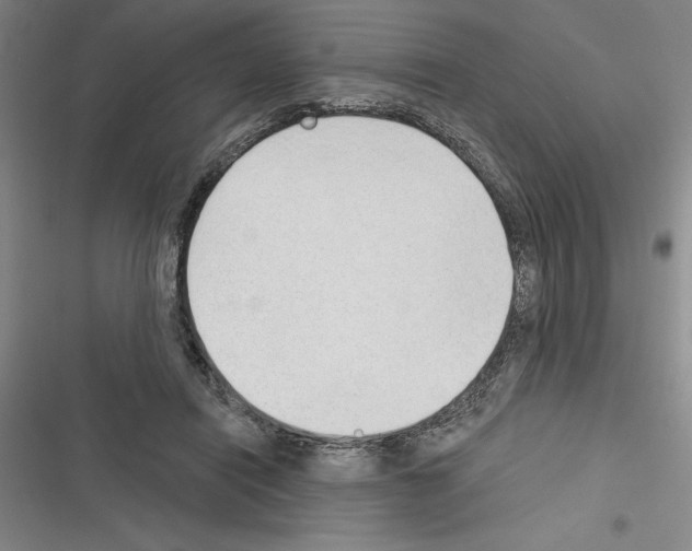 X0000116380454201001131812