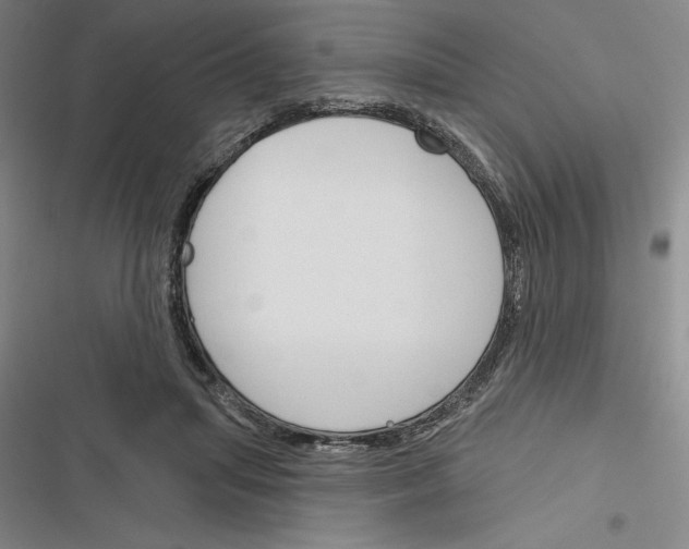 X0000116380455201001131812