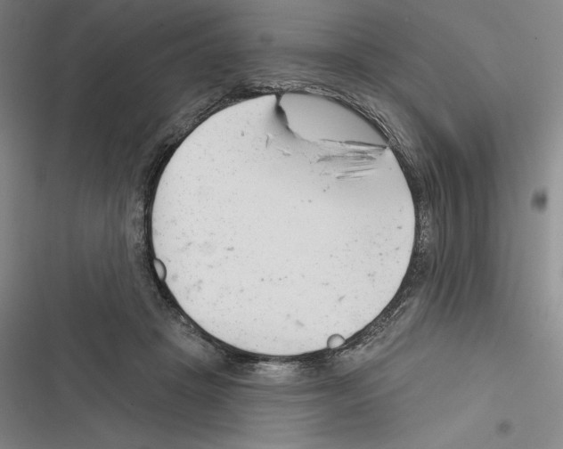 X0000116380457201001131812