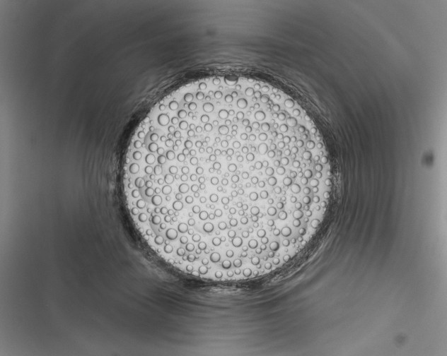 X0000116380458201001131812