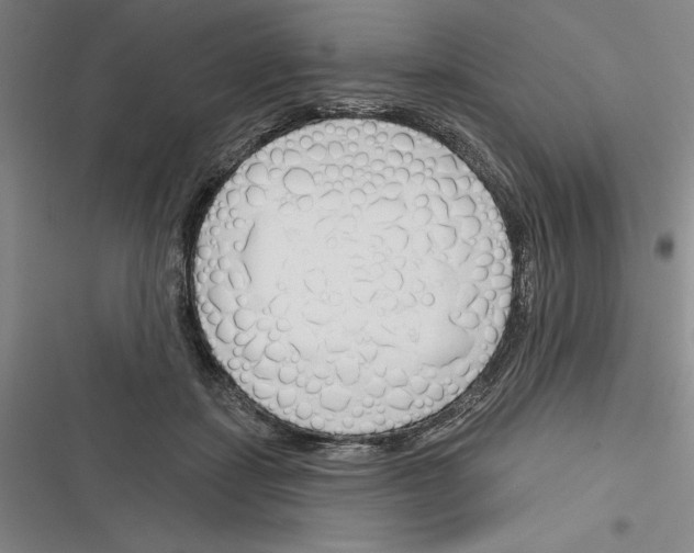 X0000116380459201001131812