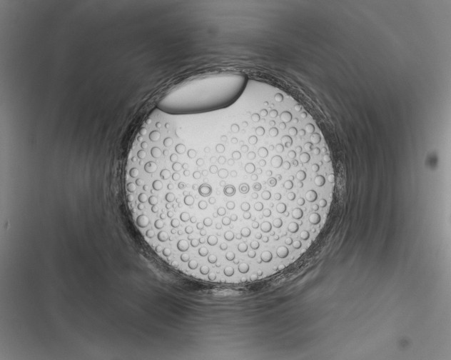 X0000116380462201001131812
