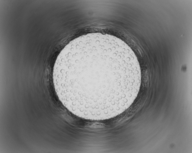 X0000116380463201001131812