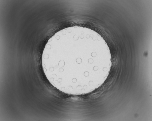 X0000116380464201001131812