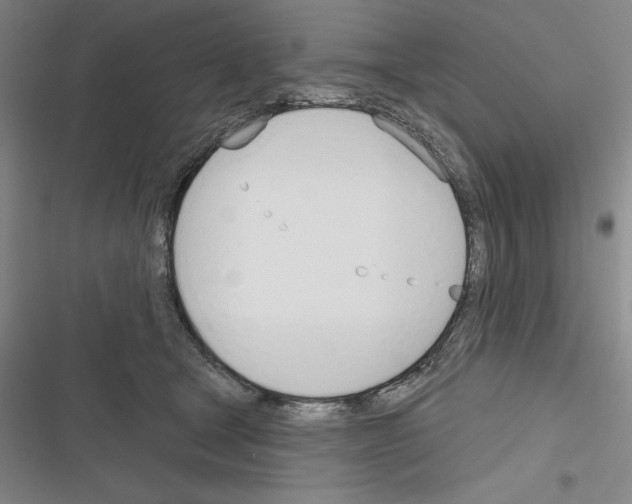 X0000116380465201001131812