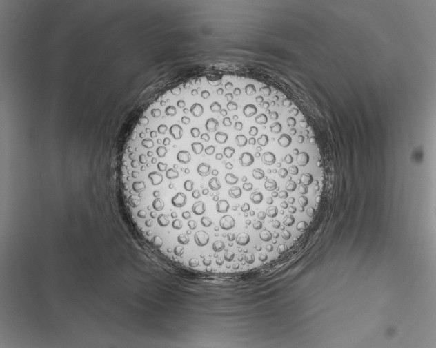 X0000116380466201001131812