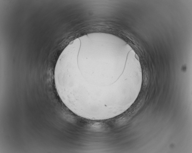 X0000116380467201001131812