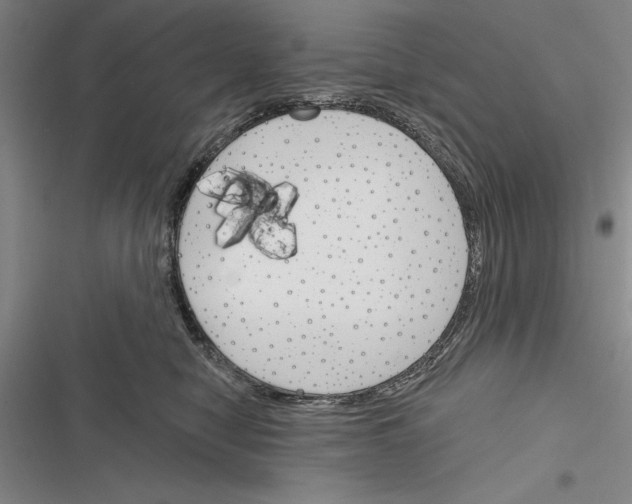 X0000116380470201001131812