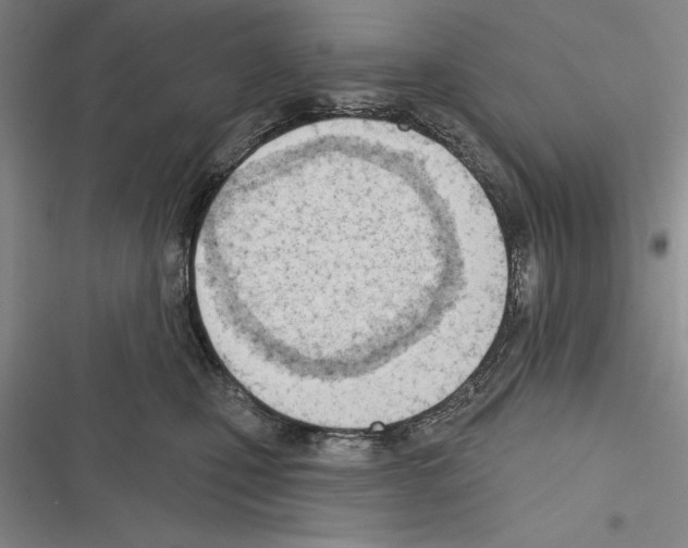 X0000116380471201001131812