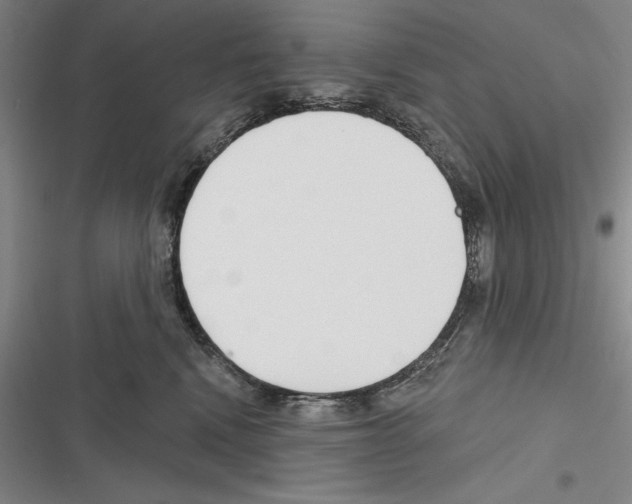 X0000116380472201001131812