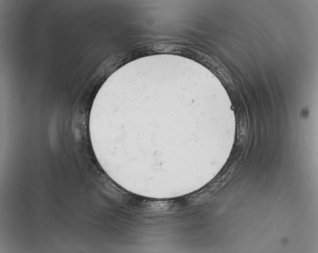 X0000116380473201001131812