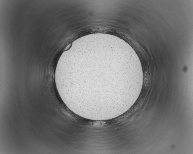 X0000116380474201001131812