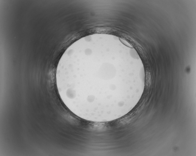 X0000116380475201001131812