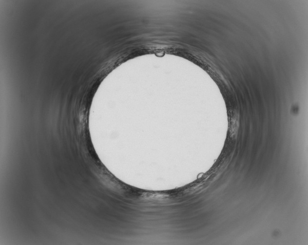 X0000116380476201001131812