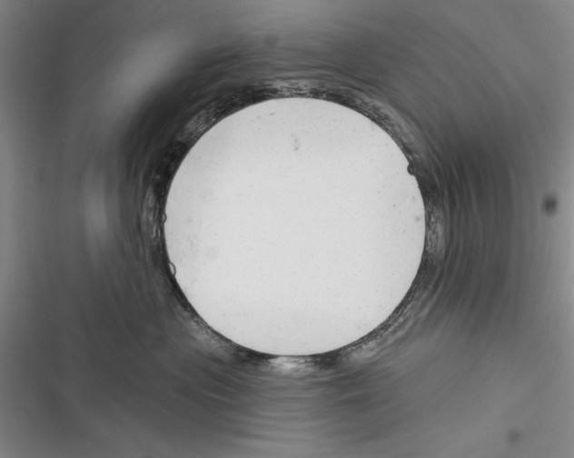 X0000116380477201001131812