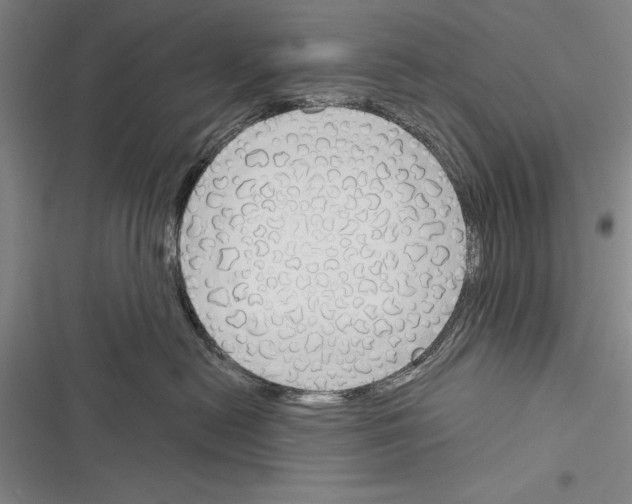 X0000116380478201001131812