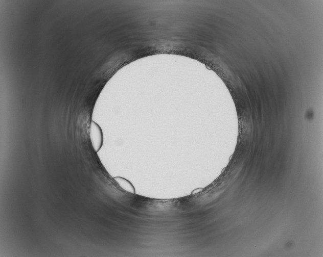 X0000116380479201001131812