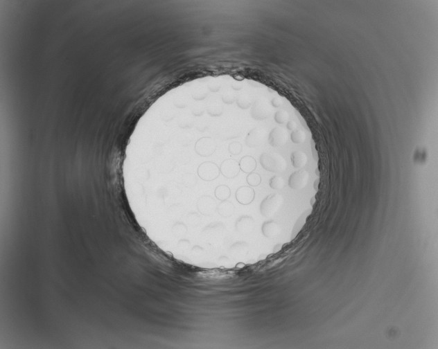 X0000116380480201001131812