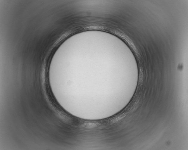 X0000116380482201001131811