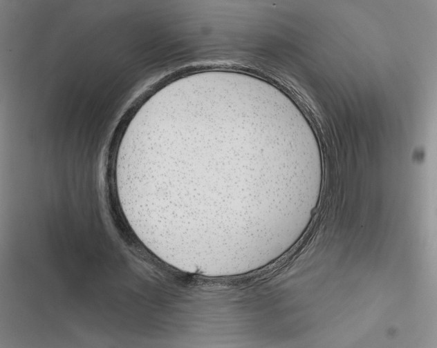 X0000116380483201001131811