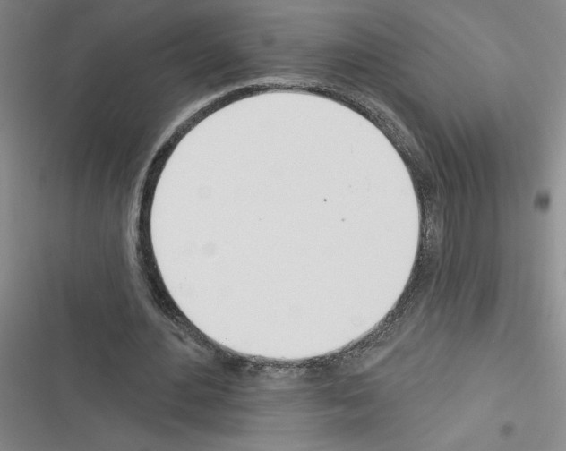 X0000116380484201001131811