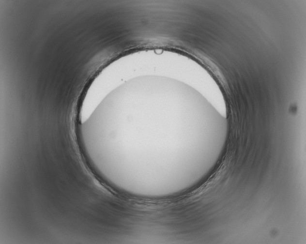 X0000116380485201001131811