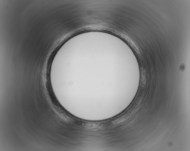 X0000116380486201001131811