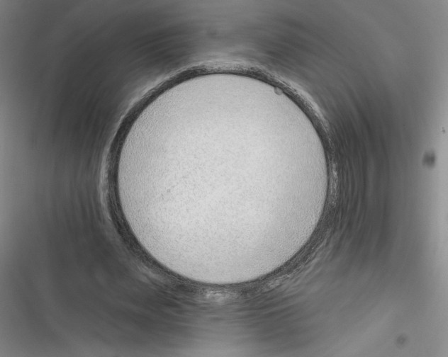 X0000116380487201001131811