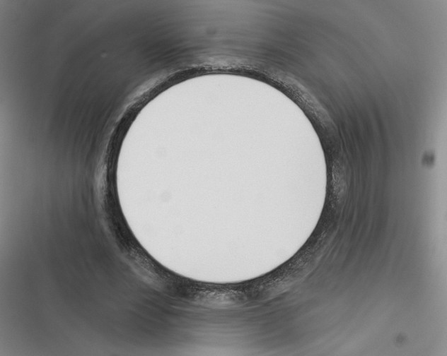 X0000116380488201001131811